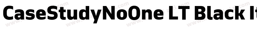 CaseStudyNoOne LT Black Italic字体转换